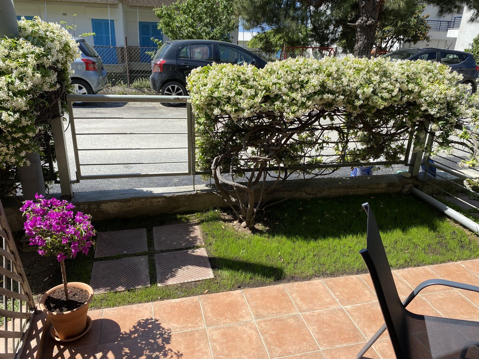 Bunterakis 2 small garden